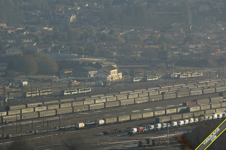 D50_DSC0238.jpg