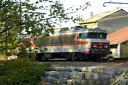 CC6565
