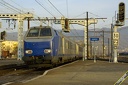 Nez de boeuf