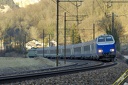 Nez de boeuf et BB25236