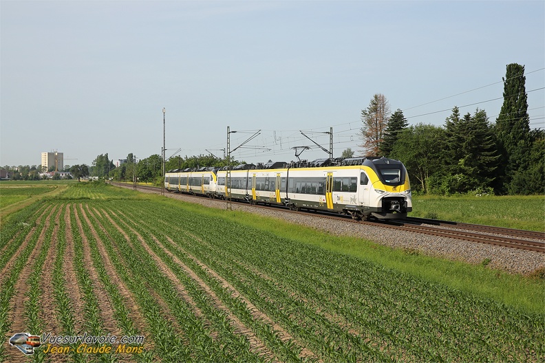+DB_463-02_2021-06-17_Lahr-Allemagne_VSLV.jpg