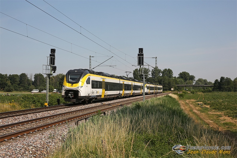 +DB_463-517-UM_2023-06-18_Kenzingen-Allemagne_VSLV.jpg