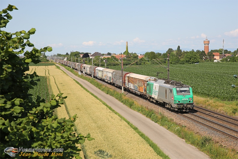 +Hexafret_27007_2025-06-16_Huttenheim-67_VSLV.jpg