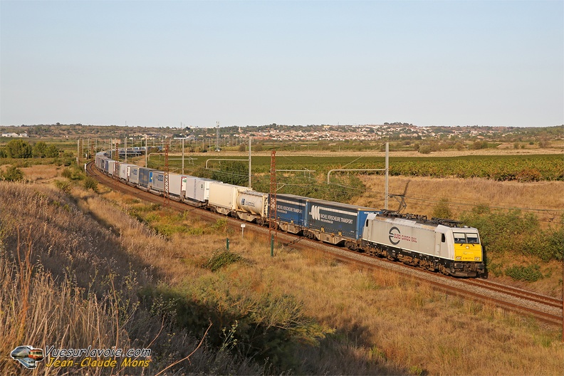 +DBCF_186-317_2025-09-06_Nissan-lez-Enserune-34_VSLV.jpg