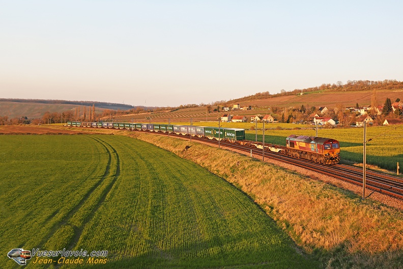 +DBCF_Class-66235_2026-03-18_Pavant-02_VSLV.jpg