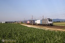 Traxx 188 120 CFF et Combiné à Sand