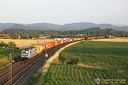 Traxx 186 297 RTB Cargo et Combiné à Kollmarsreute (187 visits) En tête d'une rame du combiné, la Traxx 186 297 Railpool, qui roule pour le compte de RTB Cargo en... Traxx 186 297 RTB Cargo et Combiné à Kollmarsreute