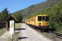Train Jaune à Serdinya
